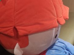 -海底捞火锅(江宸天街店)