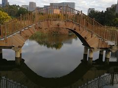 -五缘湾湿地公园