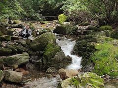 -本溪汤沟绿石谷森林公园