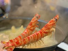 -鲜入围煮花胶鸡海鲜火锅