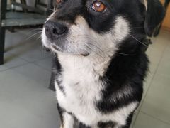 -好运来农家菜(吉林路店)