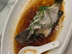 -大东海海鲜酒楼(渔人码头总店)