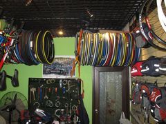 -美利达自行车(天通西苑一区店)