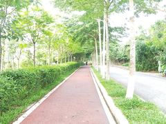 -凤岗南门山森林公园