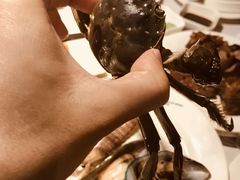 -星伦多 自助料理(圆融店)