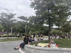 -飞凤山奥体公园
