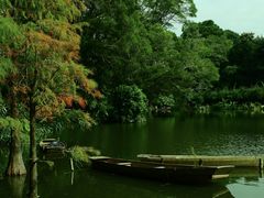 -深圳仙湖植物园