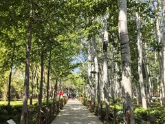 -仁和公园(顺义区)
