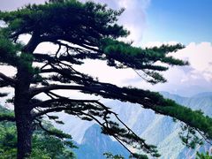 -黄山风景区