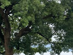 -东钱湖旅游度假区