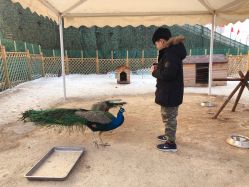 -萌宠亲子动物乐园(槐房万达店)