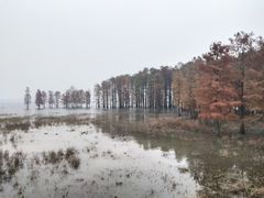 -四明湖
