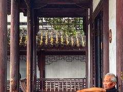 -乌镇景区