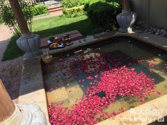 -思念果岭悦温泉