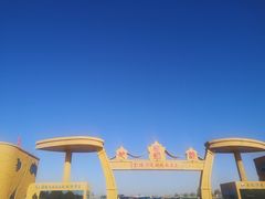 -金塔沙漠胡杨林景区
