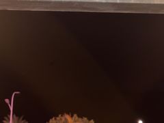 -钱大妈海鲜饭店(保利林语店)