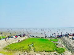 景点-南汇嘴观海公园