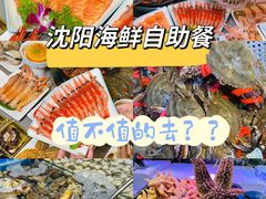 -乔哥铭洋海鲜自助(皇城恒隆广场店)