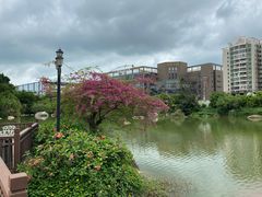 -厦门悦华酒店·绿庭主题自助餐厅