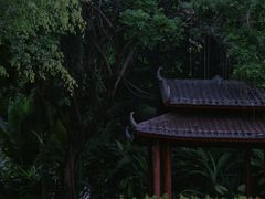 -南宁南湖公园