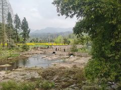 -雅安上里古镇