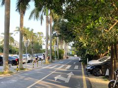 -西涌国际滨海旅游区