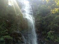 -九龙江国家森林公园