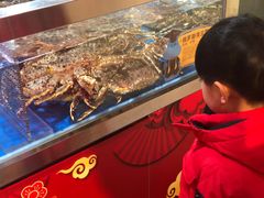 -盒马X会员店(王府井奥莱UP TOWN店)