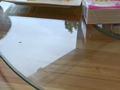 -叁拾壹克饺子·东北菜(国贸店)