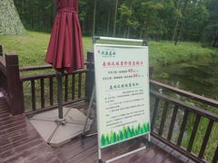 -黄海国家森林公园