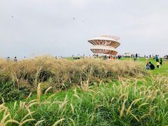 -光明小镇欢乐田园
