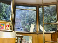 -神户市立六甲山牧场