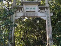 -梧桐山风景名胜区