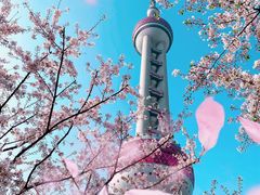 -东方明珠广播电视塔