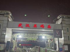 -武汉关码头(轮渡站)