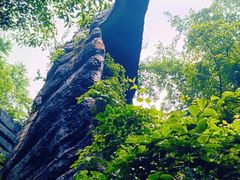 -梭布垭石林景区