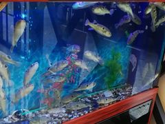 -肆月河豚·新淮扬(金融街店)