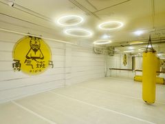 -勇气斑马·巴西柔术&跆拳道(浦东三林店)