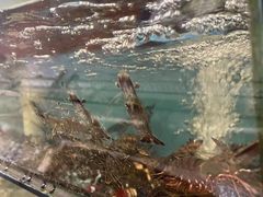-海门岛七号餐厅
