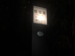 -三亚珠江南田温泉度假区