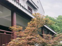 -苏州吴宫泛太平洋酒店