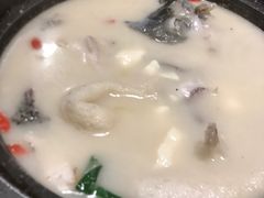 -7017浙菜•建德味(市心北路店)