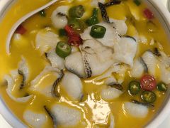 -映像烟台·海鲜·地道鲁菜(海信慧园店)