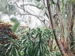 -海南热带野生动植物园