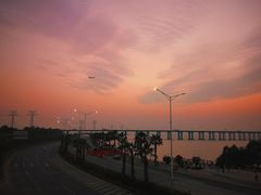 -宝安西湾红树林湿地公园