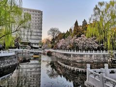 -北京积水潭医院-停车场