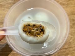 -海丝金凤(金鱼店)
