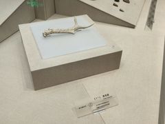 -呼伦贝尔民族博物馆