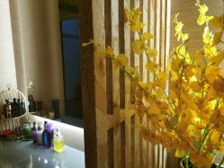 -栖SPA·ONDA ·海菲秀·皑皑科技美肤中心