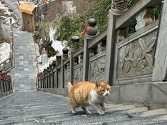 -终南山南五台景区